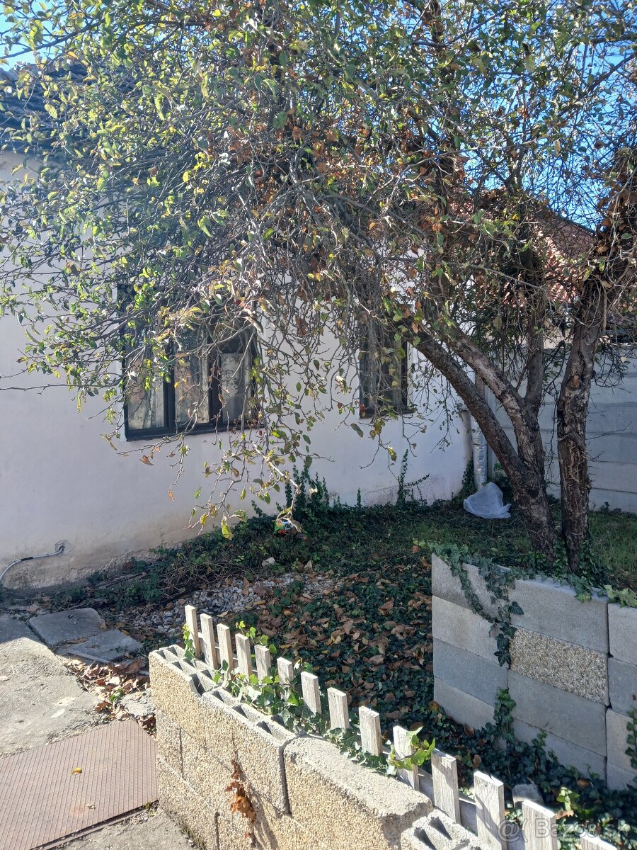 Predaj  domu s veľkým pozemkom