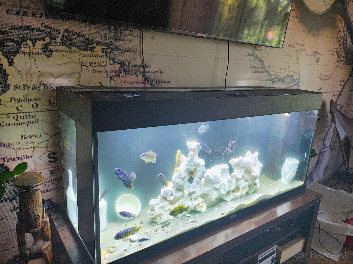 Predám akvárium JUWEL RIO 240
