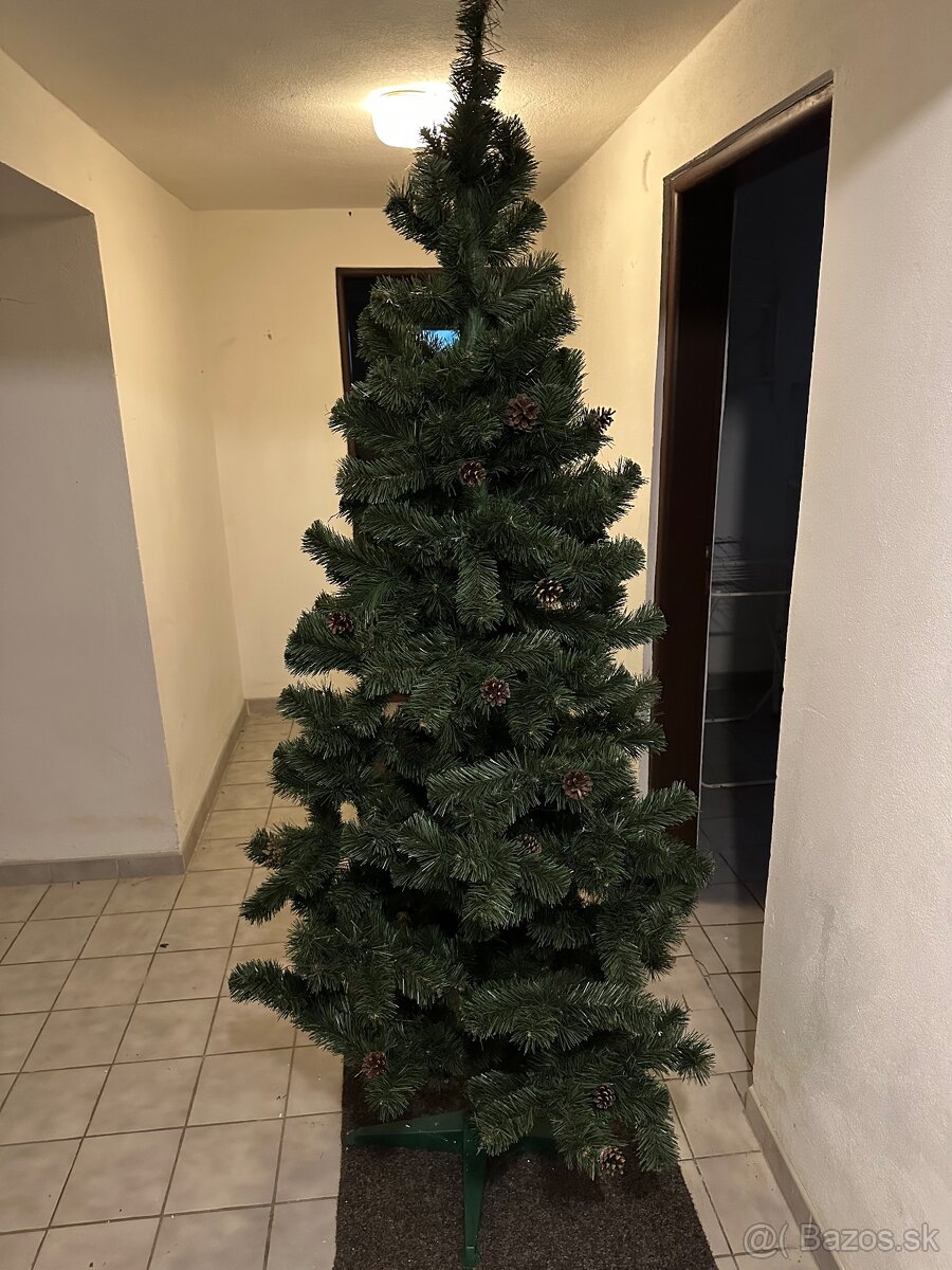Predam vianocny stromcek