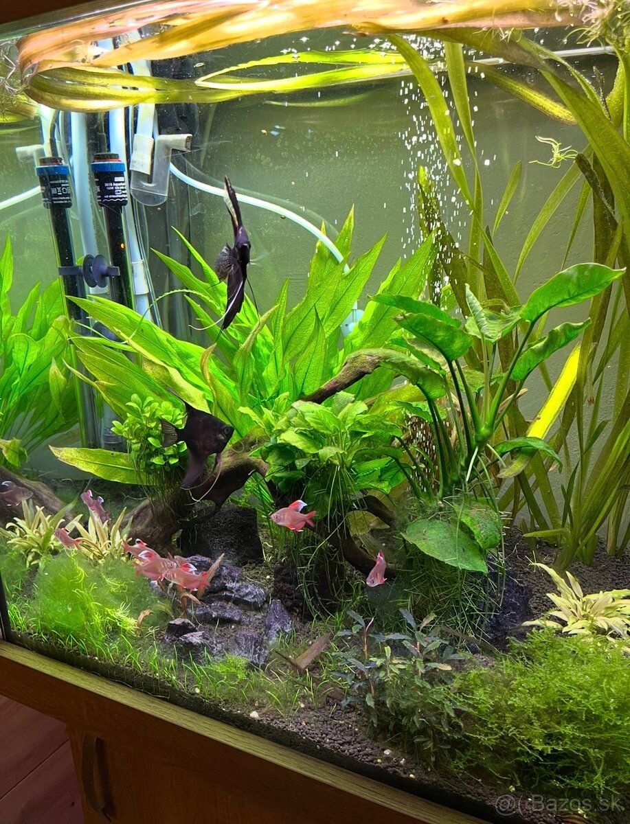 Akvarium 150l