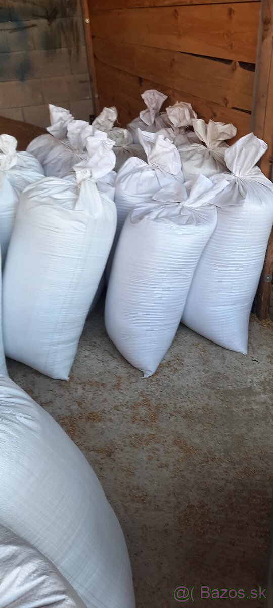 Predám jačmeň jarný