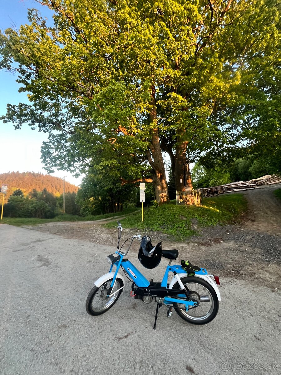 Babeta 207