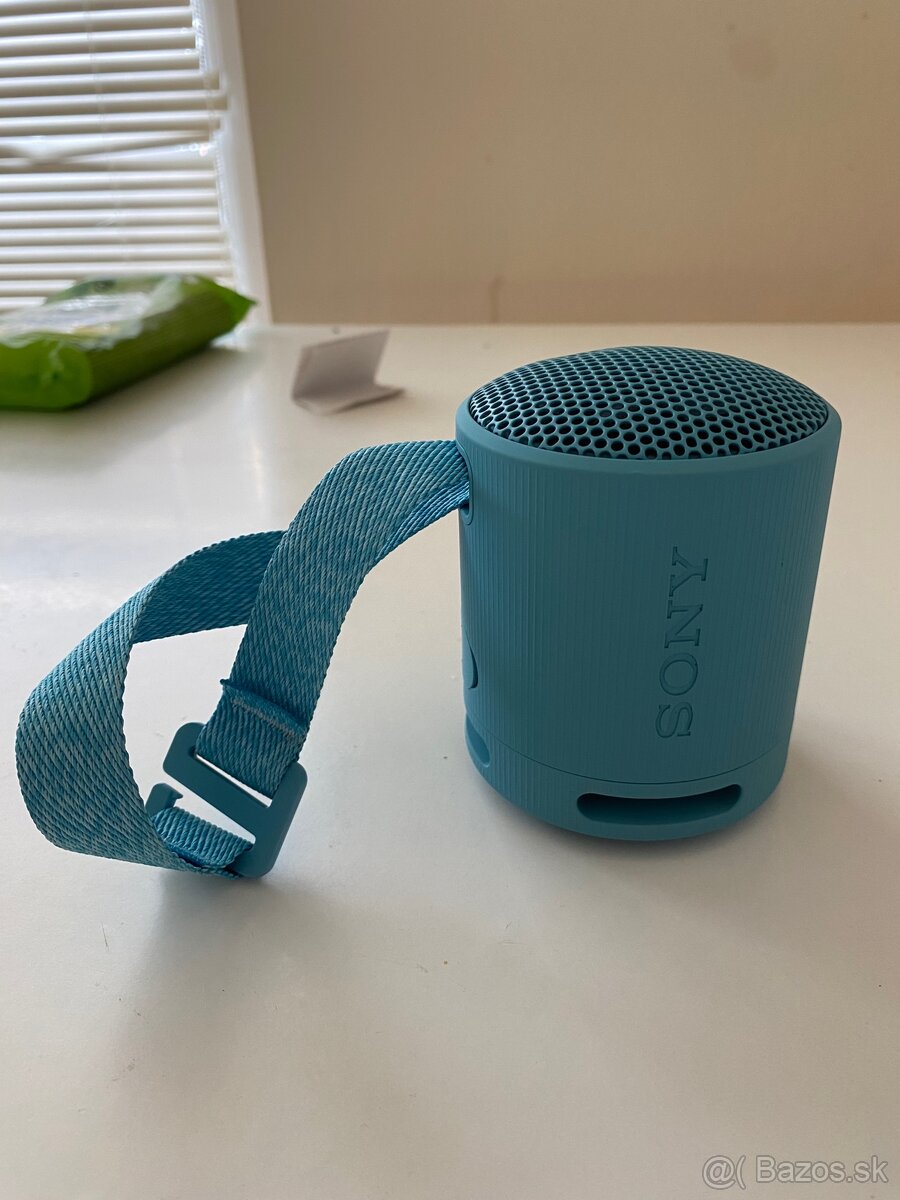 Sony SRS-XB100