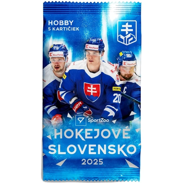 Hokejové Slovensko 2025