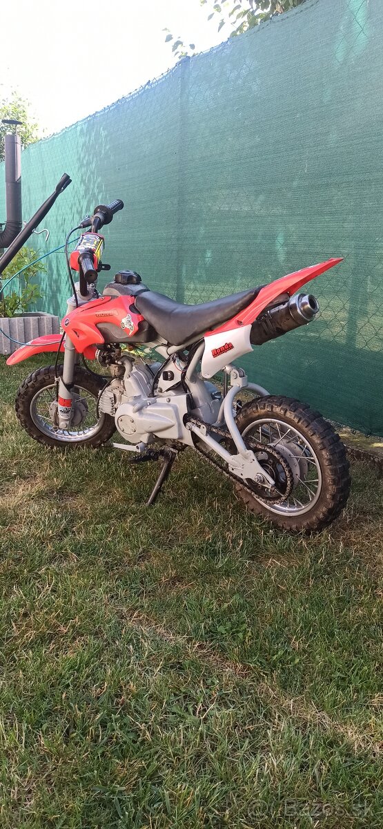 predam pitbike 110