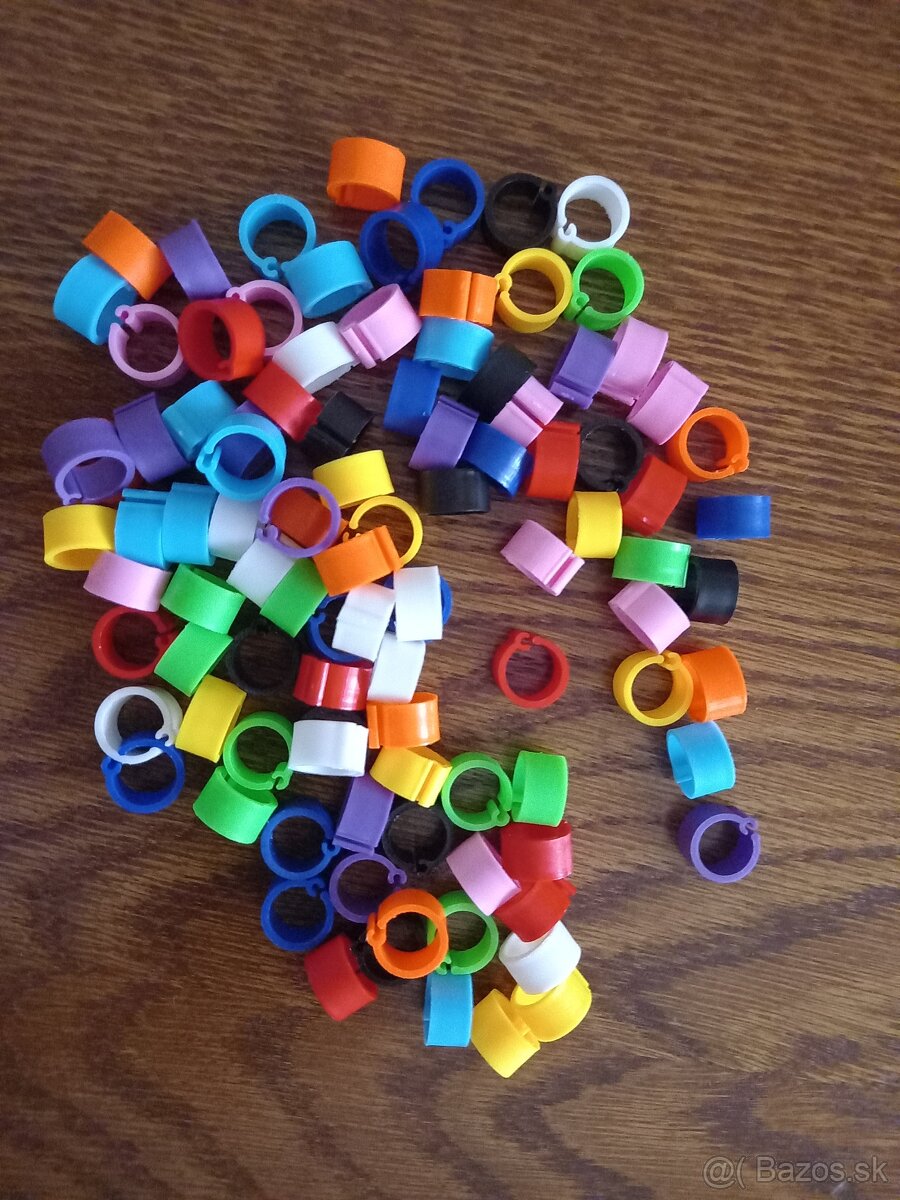 krúžky na vtáctvo