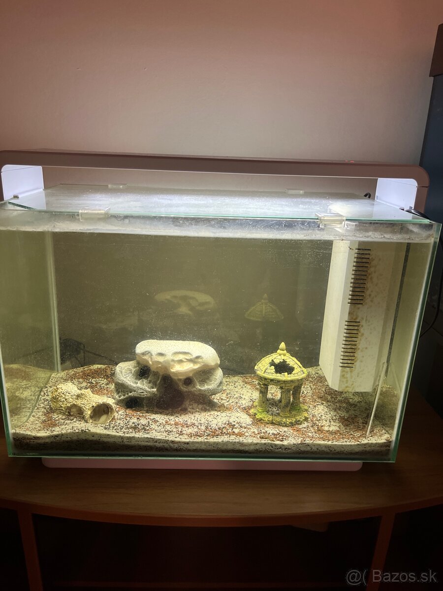 Predám akvárium Hailea 60L