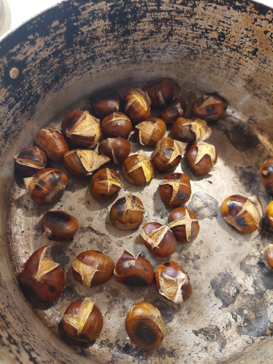 Gaštany Jedle BIO zaručene