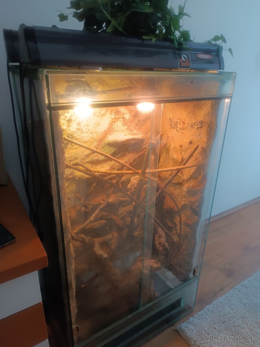 Terarium pre chameleóna