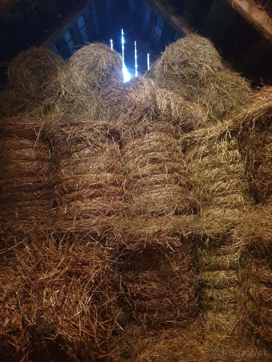 Slama malé okrúhle balíky