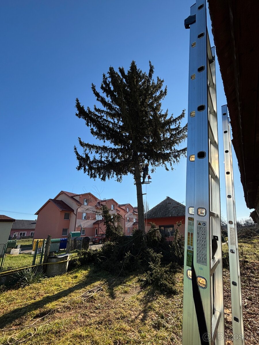 Pílenie a orez stromov