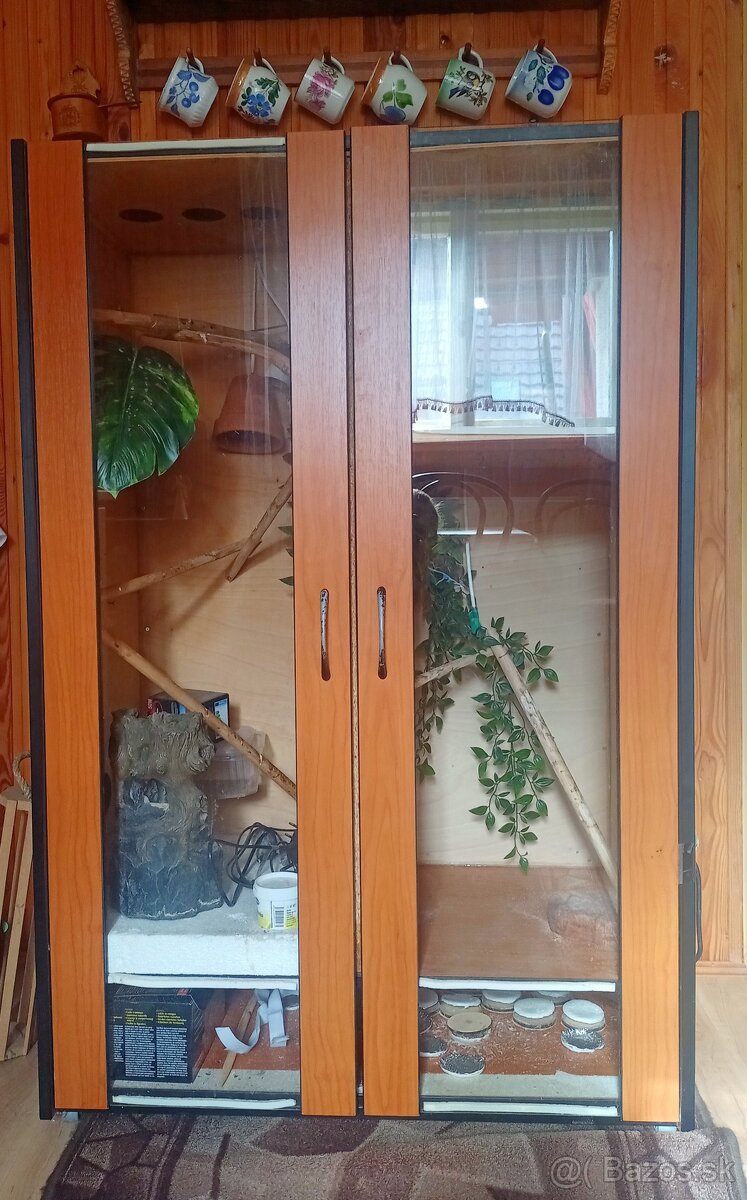 Terarium