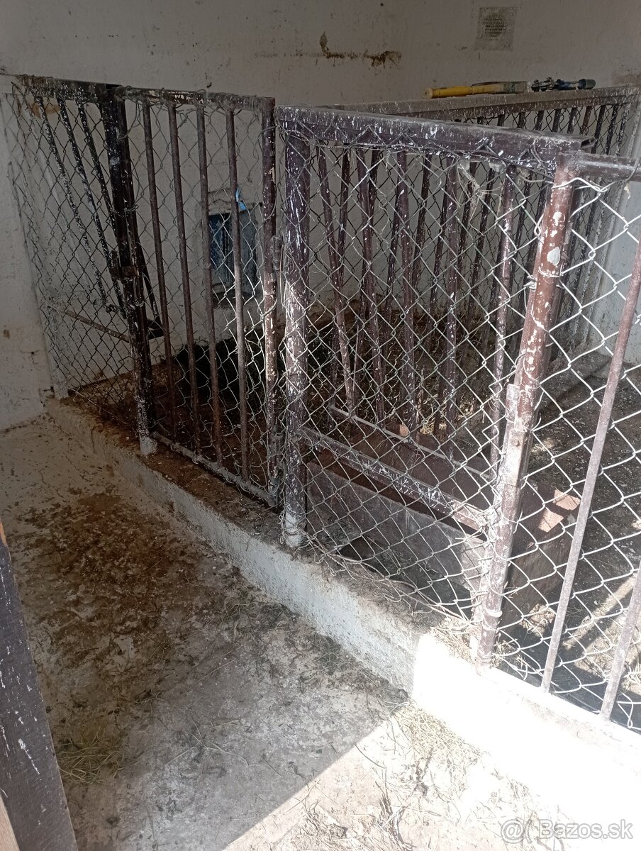 Zábradlia pre prasatá