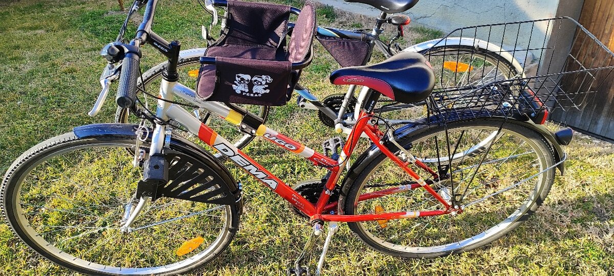 Bicykel Dema