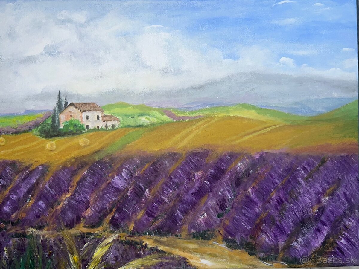 Obraz /maľba/ Levanduľové pole Provence