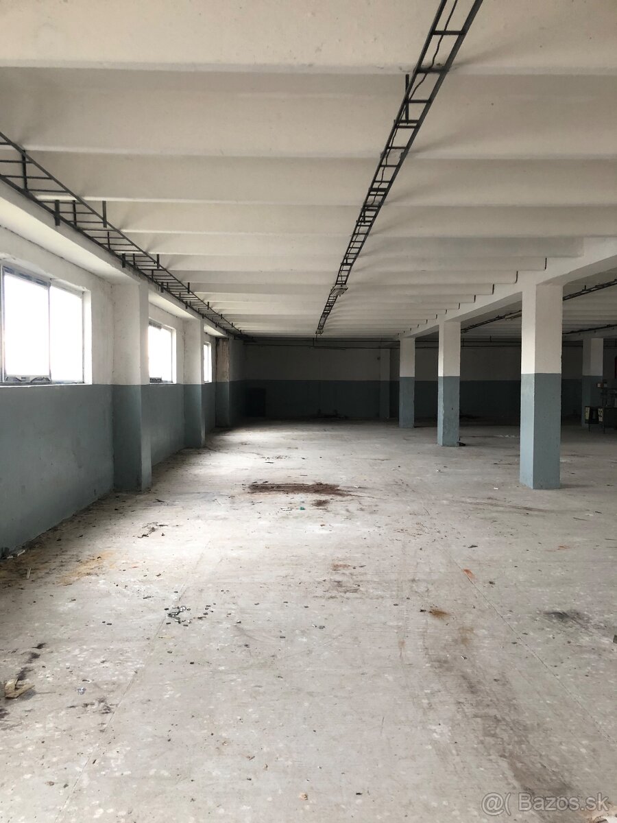 Ponúkame halu na prenájom