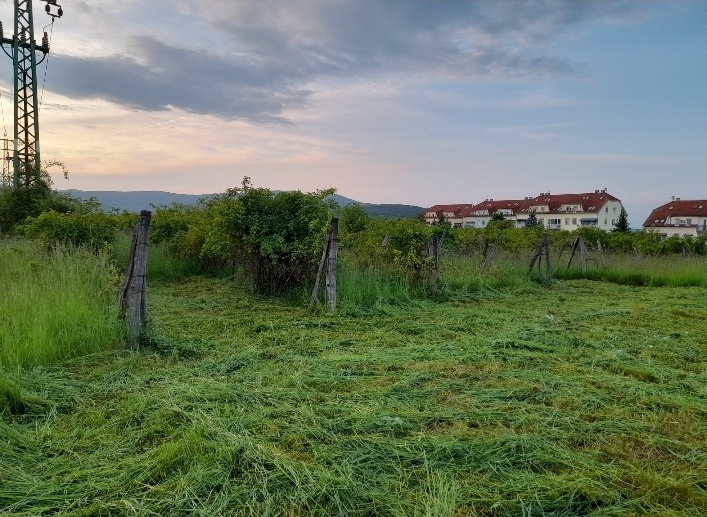Vinosady pozemok