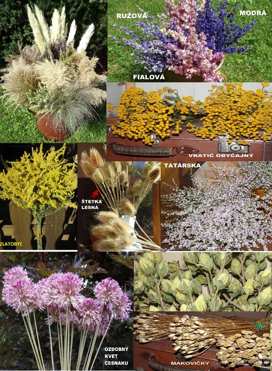 SUŠENÉ KVETY NA ĎALŠIU TVORBU