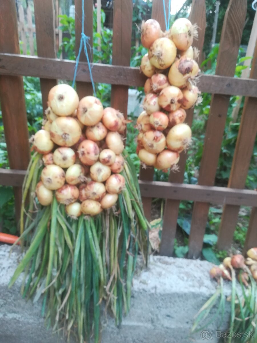 Darujem kvalitný viacročný hnoj