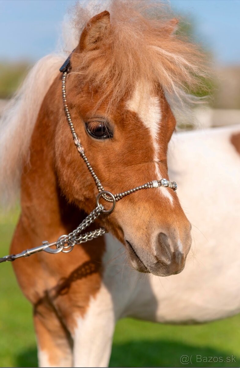Mini American hors