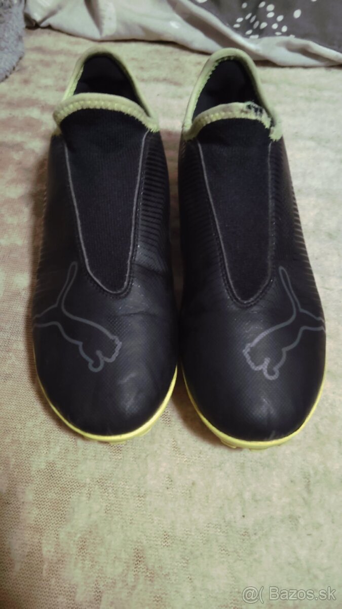 Puma turfy