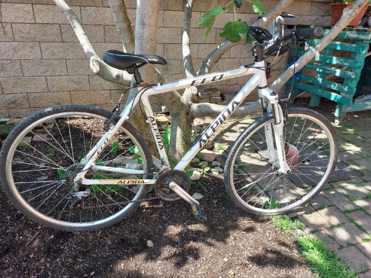 Bicykel Alpina Eco C10