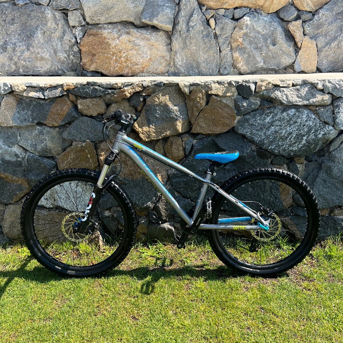 Whip 50 – Dirt Series Geometry