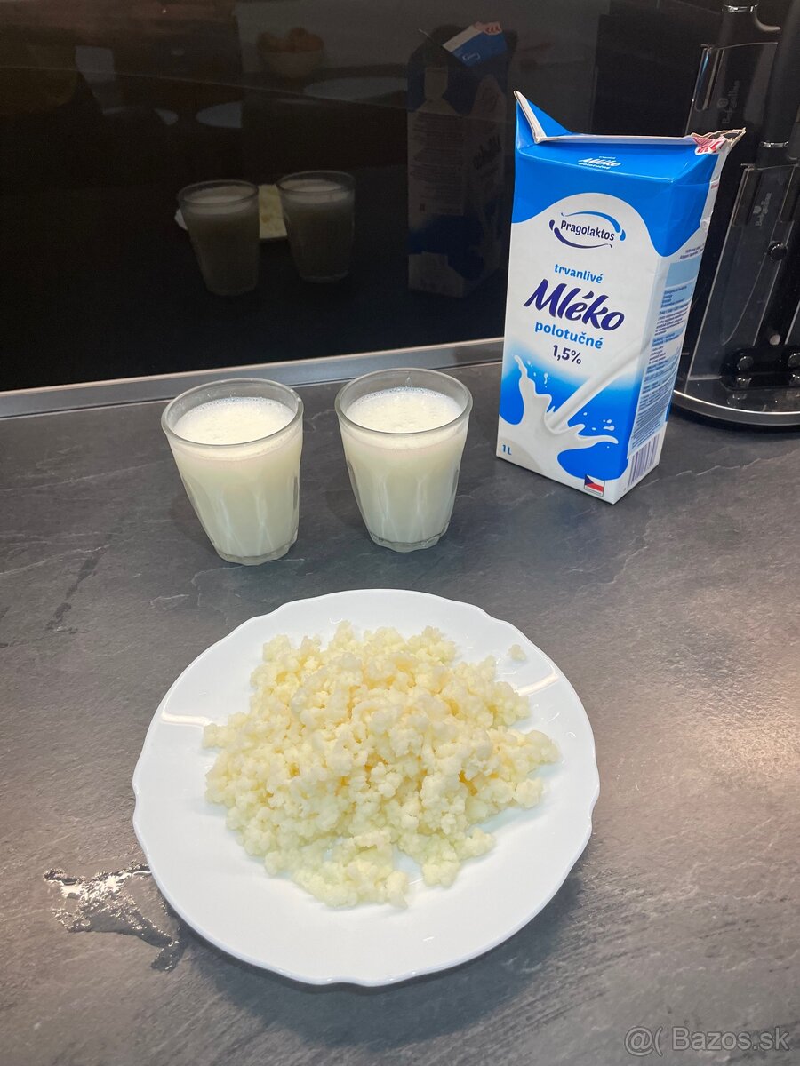 Predám kefírové zrná (Tibetská huba)