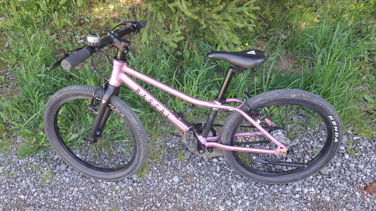 ZNÍŽENÁ CENA Rascal 20 Raspberry