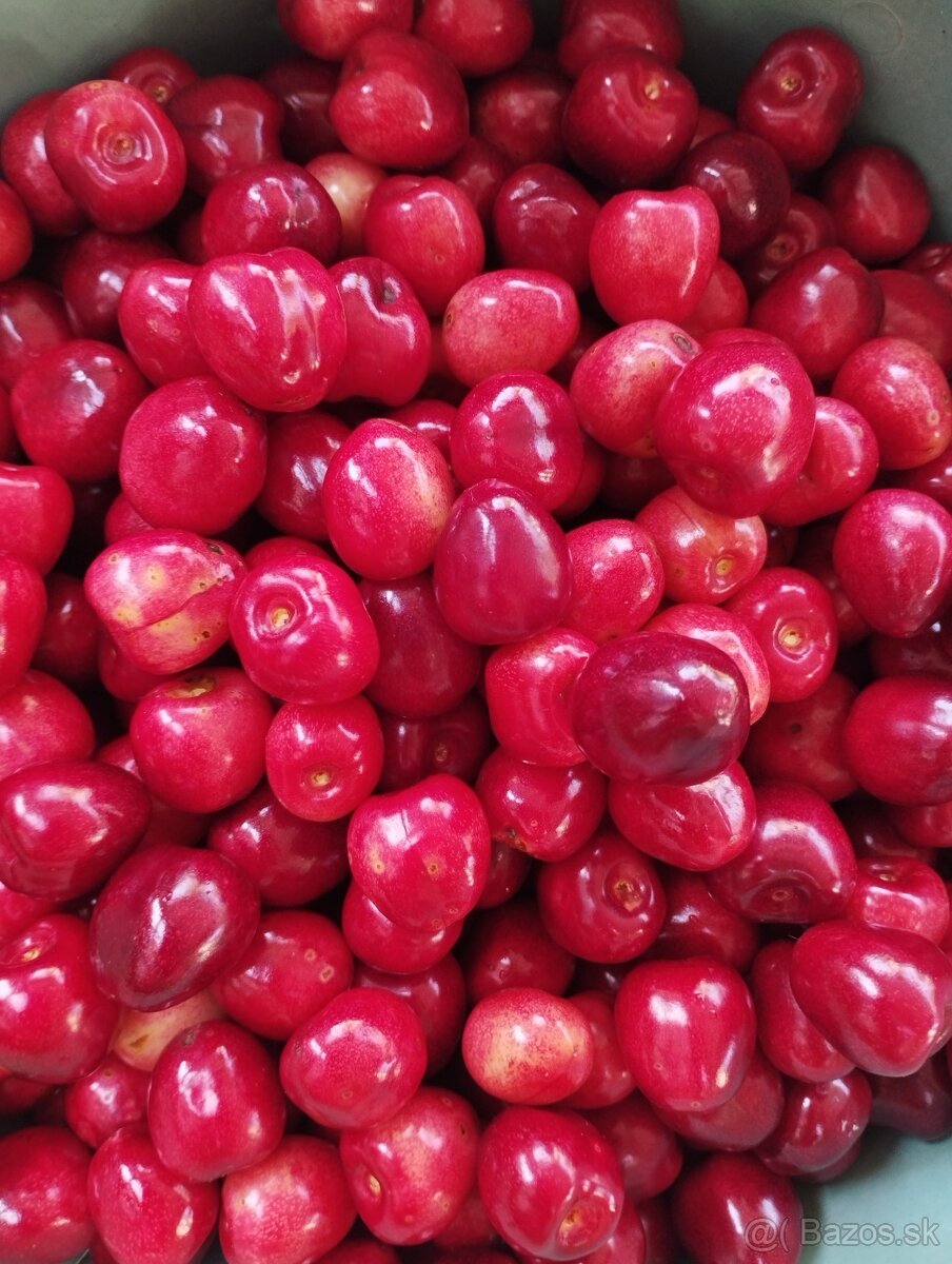 Čerešne 🍒
