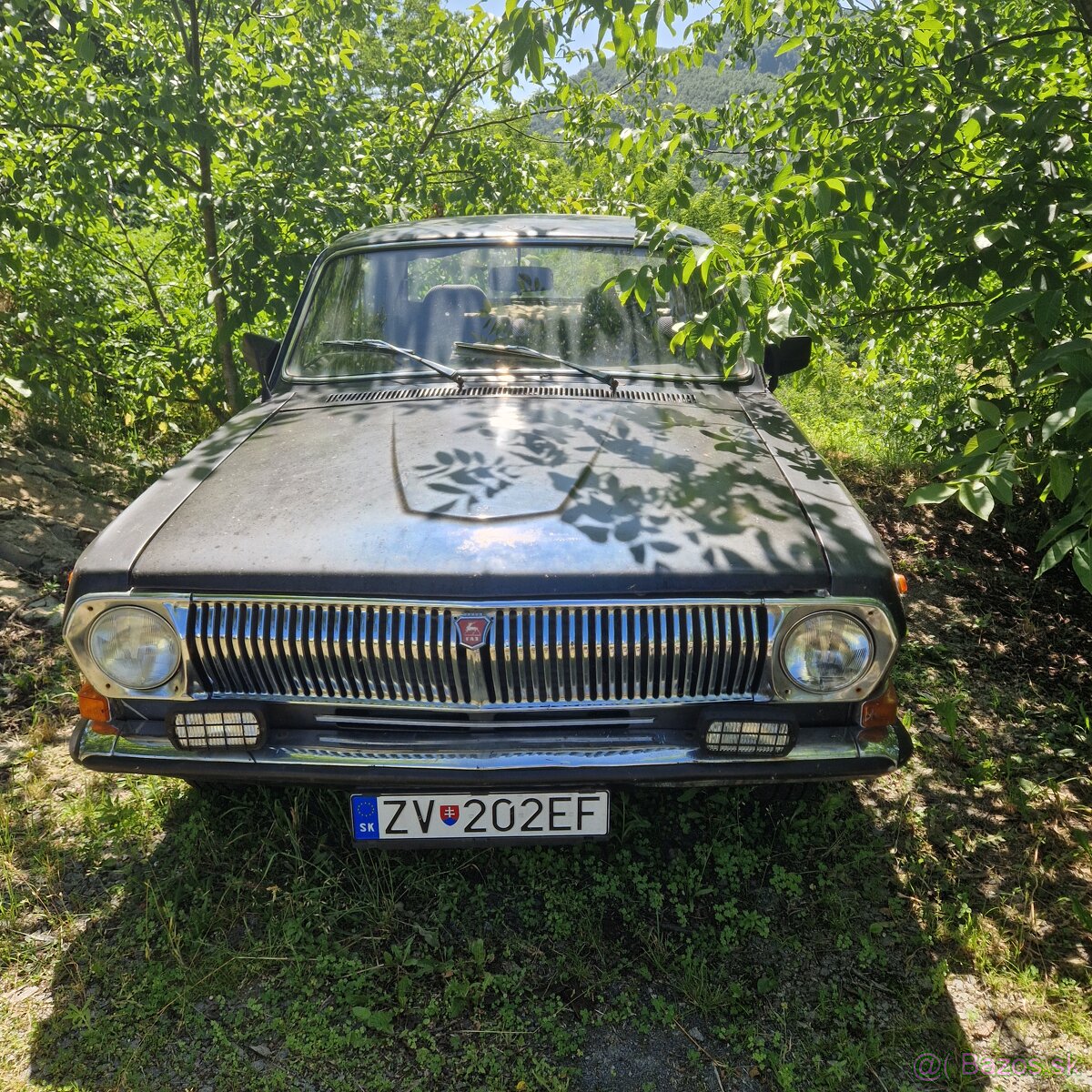 Volga 24