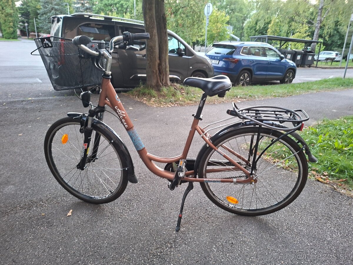 Mestský bicykel