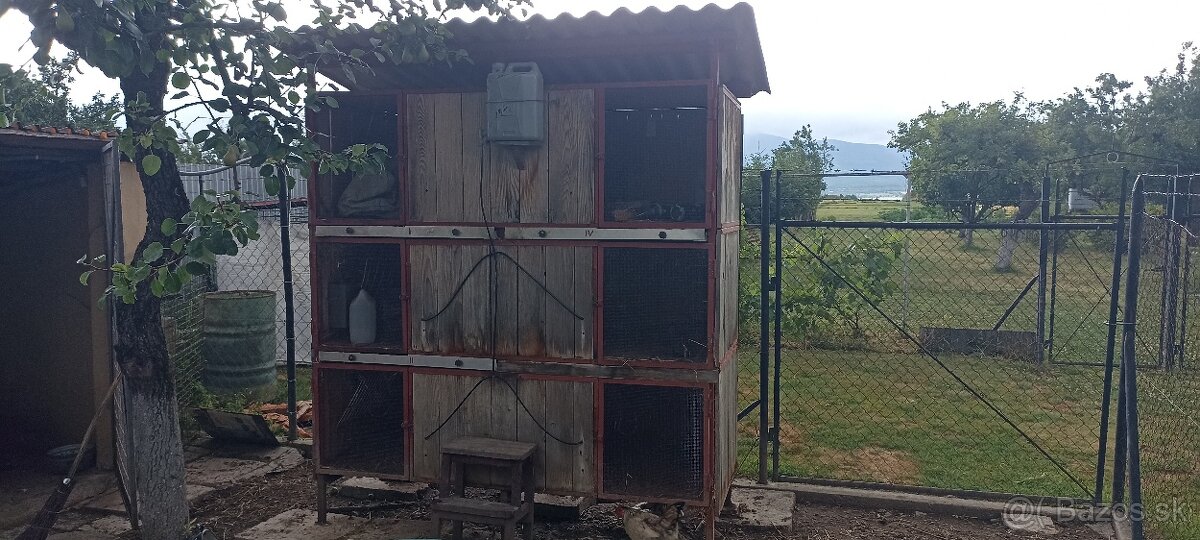 Zajačnik králikareň