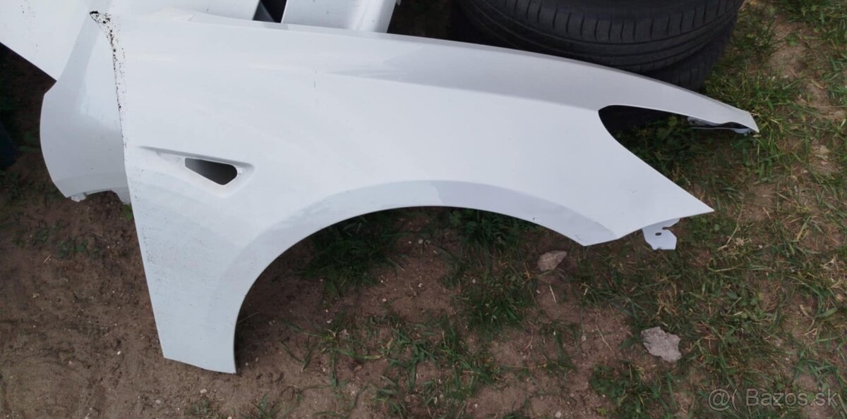 BLATNÍK TESLA 3
