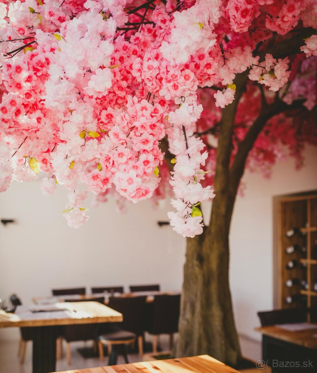 Kuchár/Sushi majster