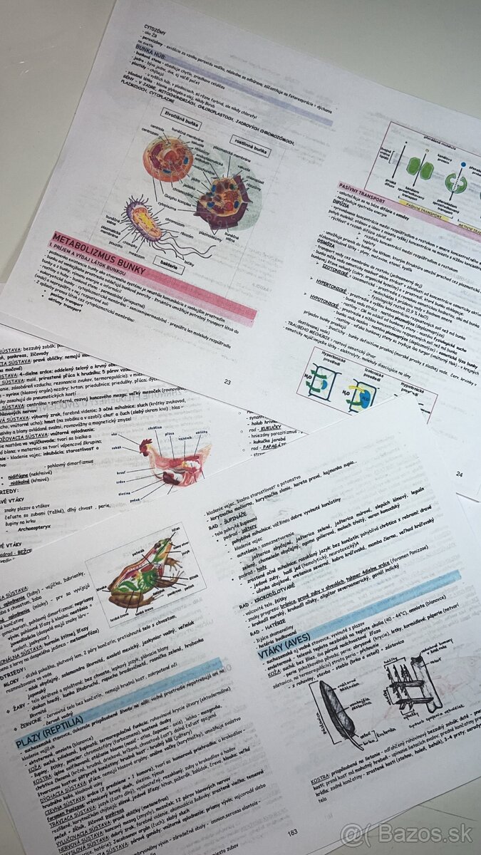 Maturita / prijmacky bio, fyz, chem