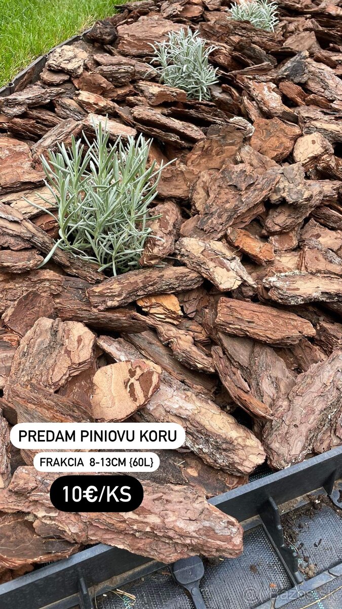 Piniova kora - okrasna kora