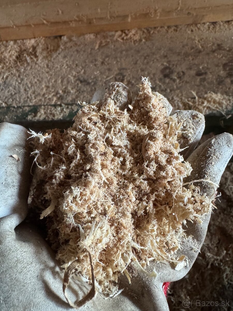 Drevené Piliny