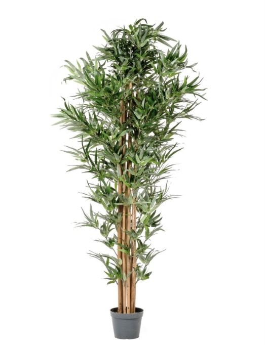 strom bambus 190 cm nemeckej značky plastia