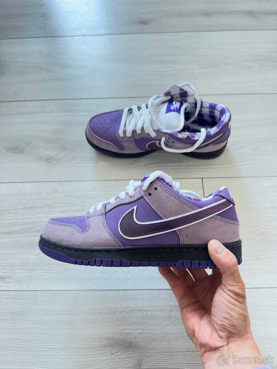 Tenisky NIKE SB Dunk low purple