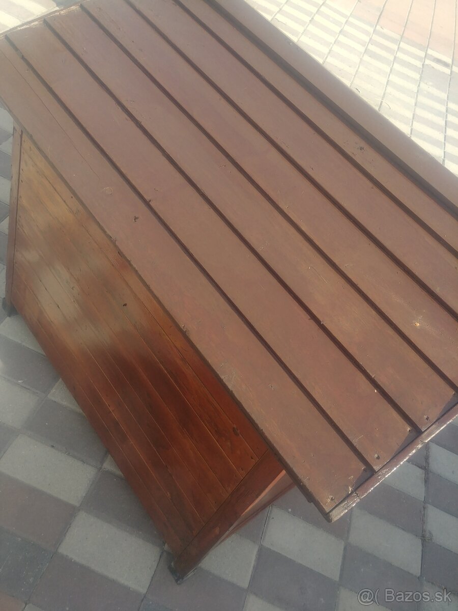 Psia búda