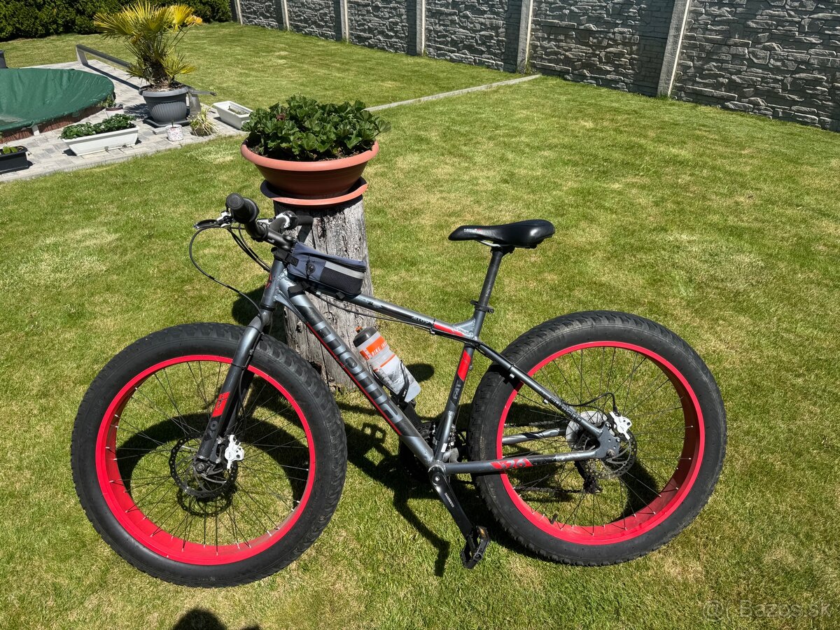 fatbike