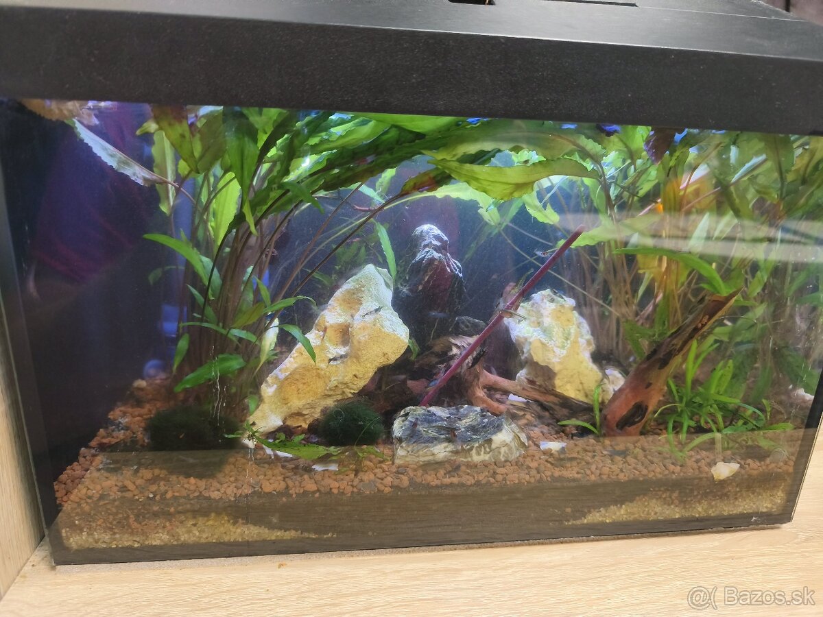 Predám zabehnuté akvárium