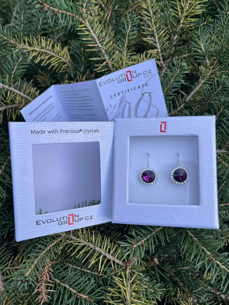 Náušnice Evolution Group