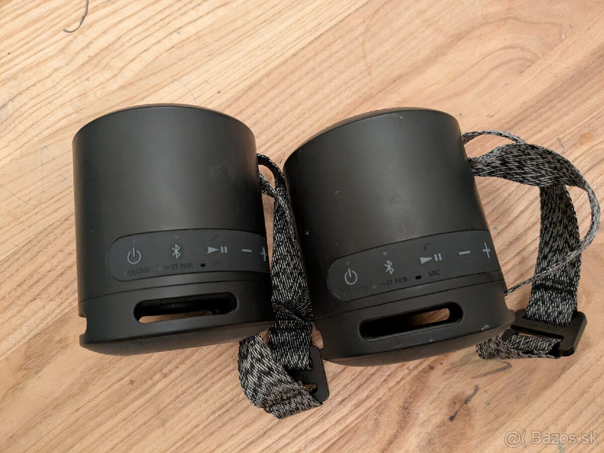 Sony SRS-13