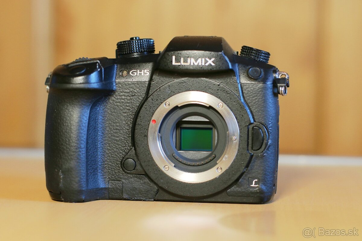 Panasonic Lumix GH5