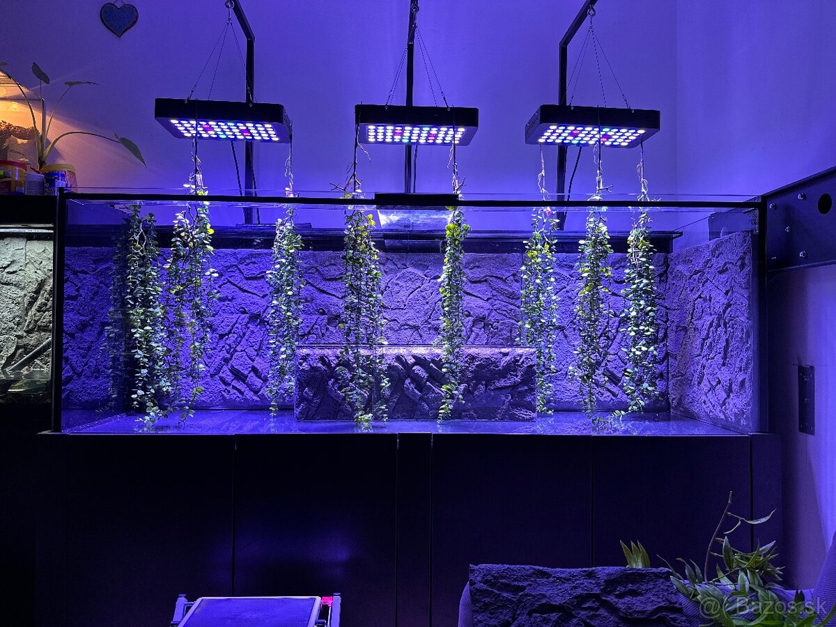 Akvarium /Terarium + svetla + stolík