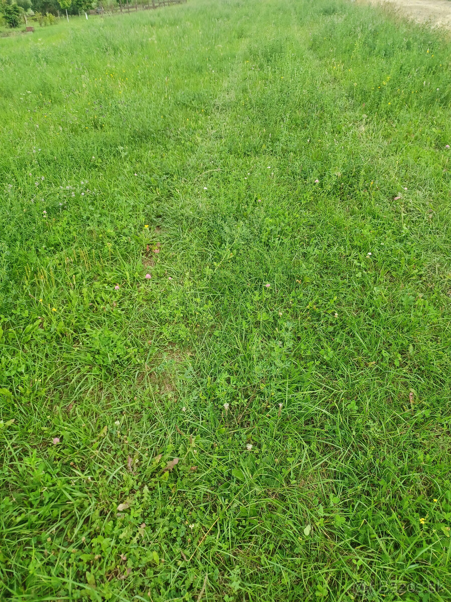 Stavebný pozemok, Podhorany, okres Prešov