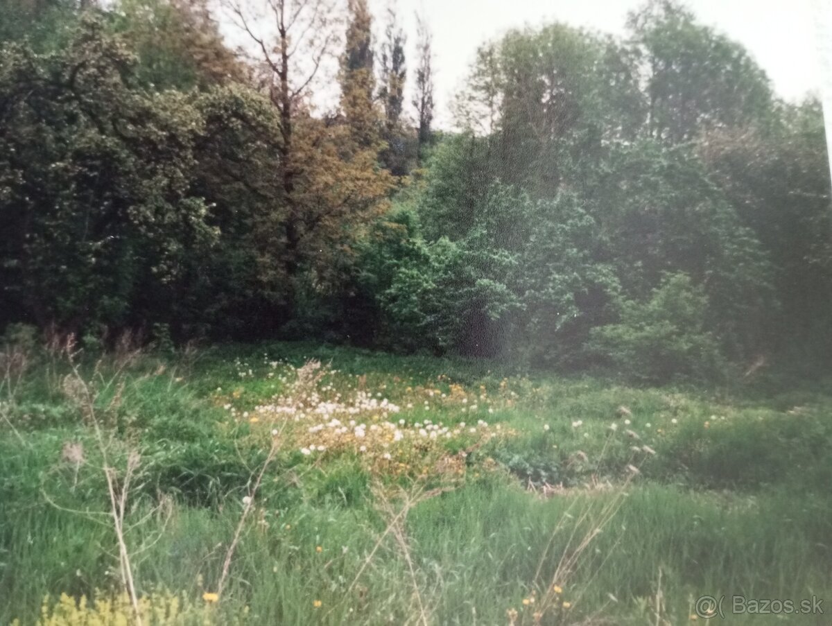 Pozemok
