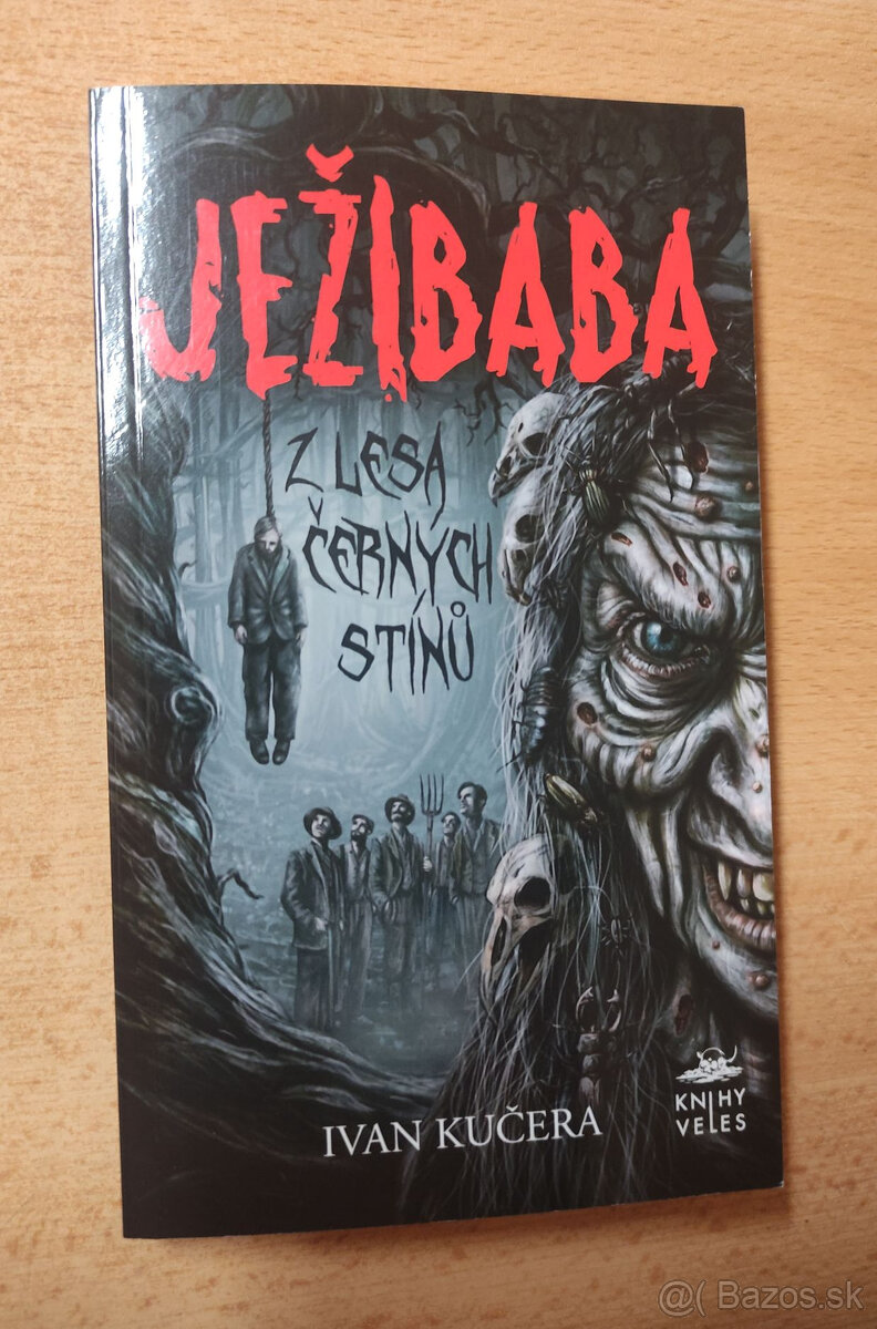 Ježibaba z Lesa černých stínů - Ivan Kučera
